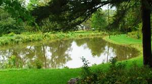 Image of fishing pond